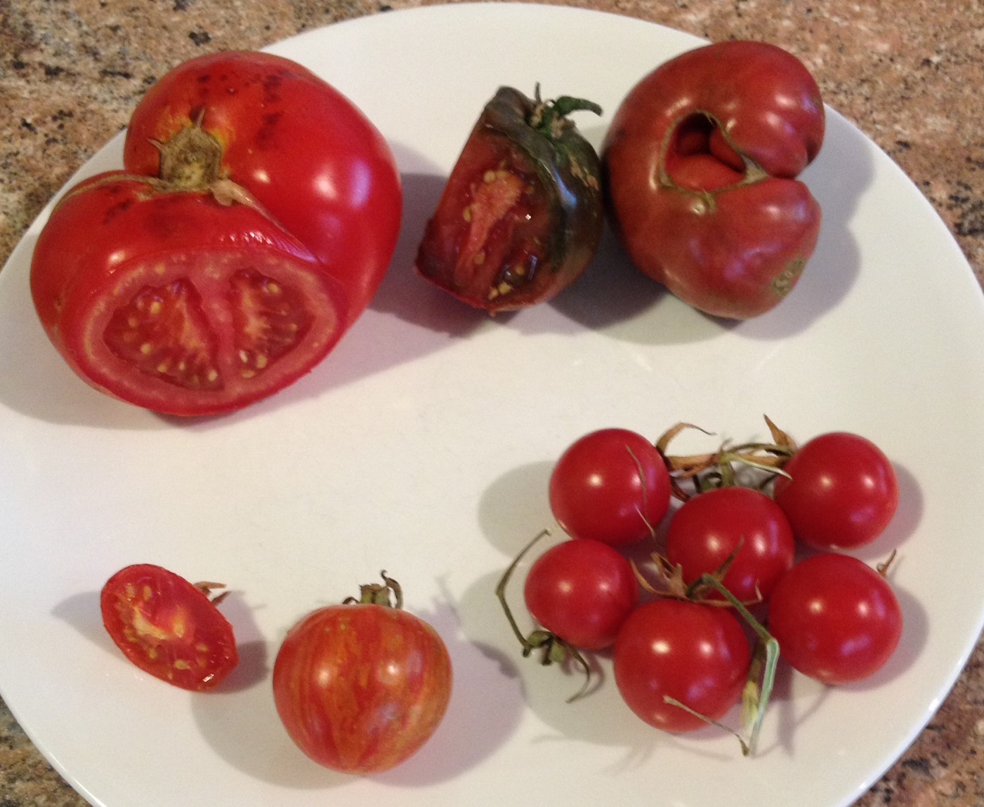 tomato range